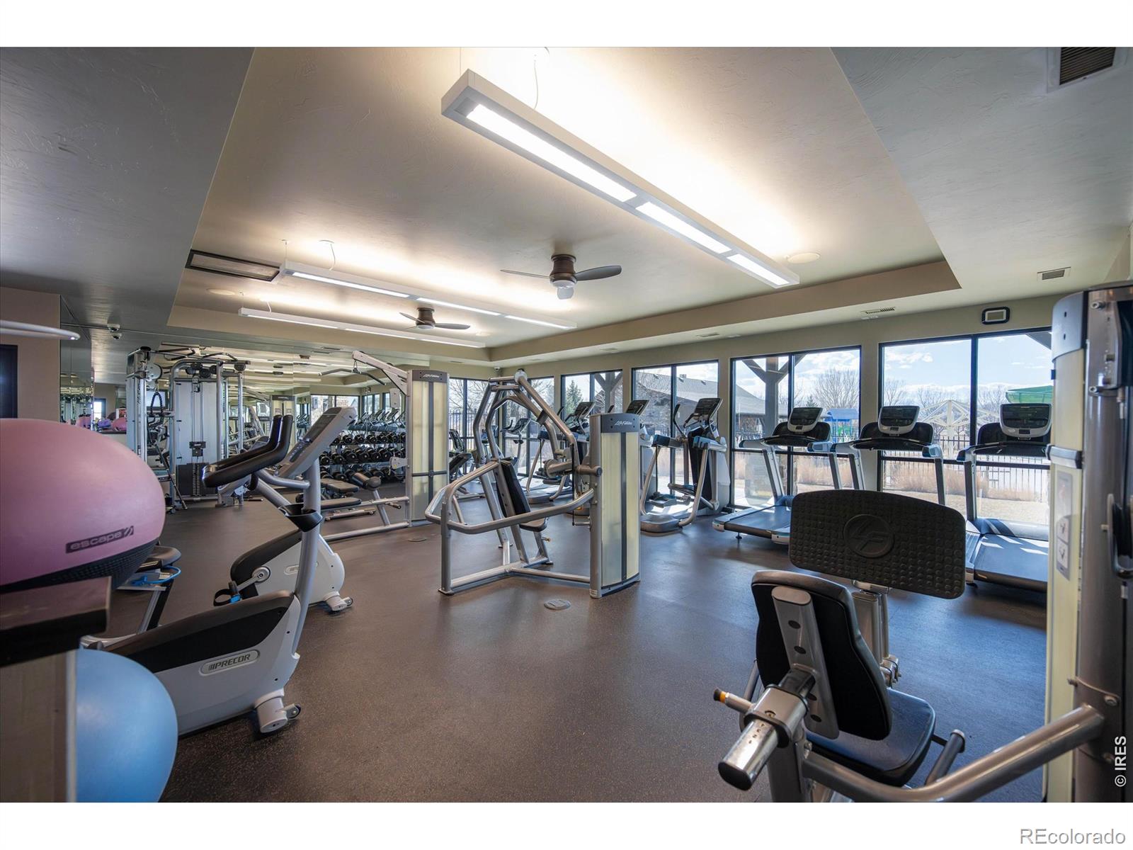 MLS Image #48 for 6150  washakie court,timnath, Colorado