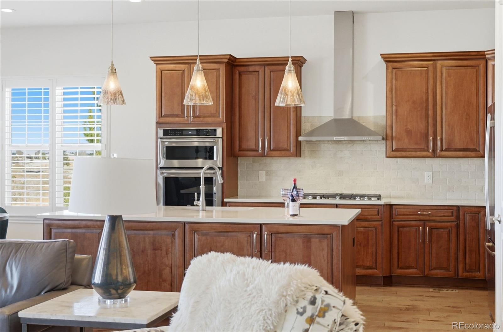 MLS Image #13 for 11844  discovery circle,parker, Colorado