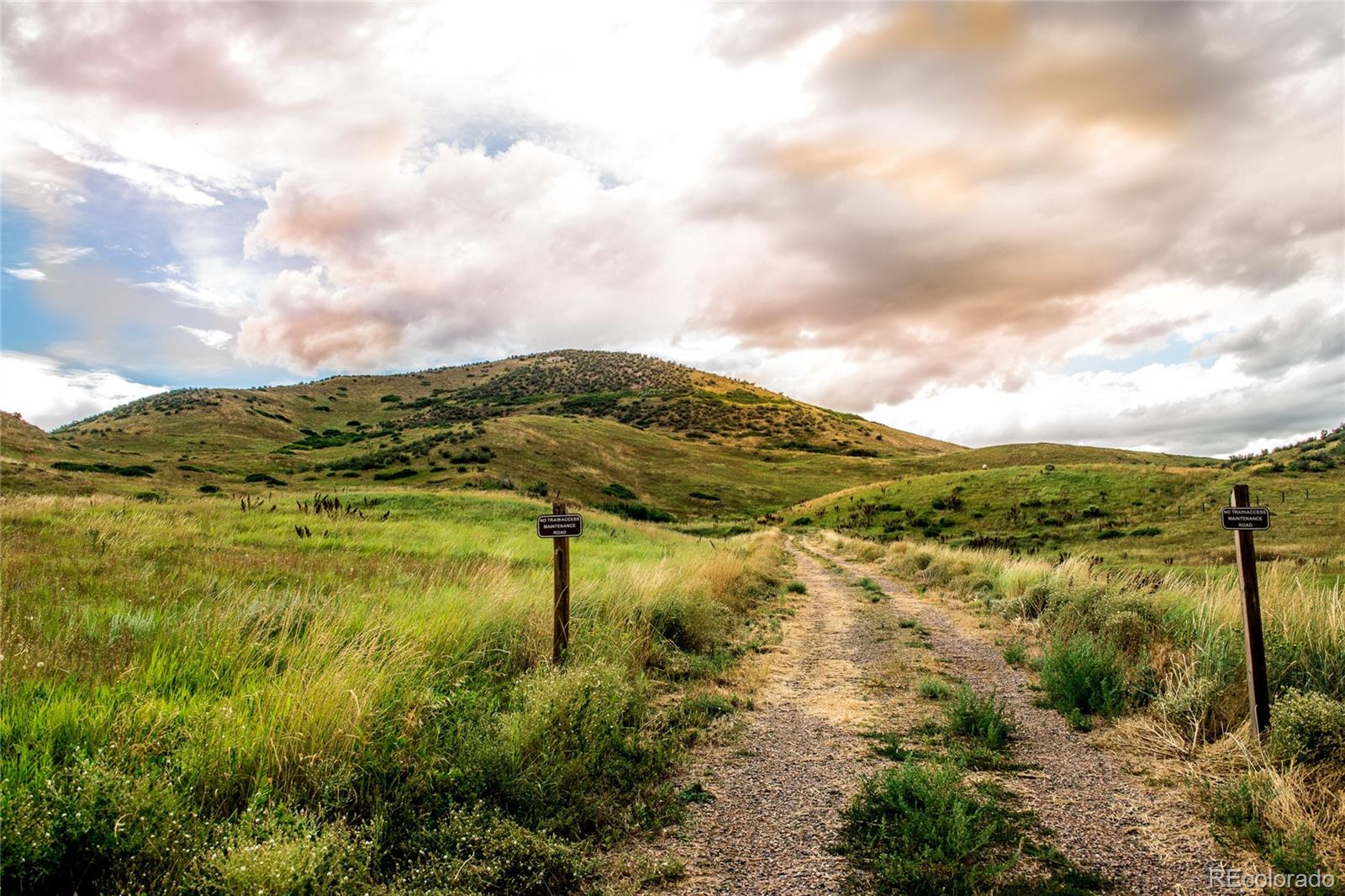 MLS Image #30 for 2308 s orchard way,lakewood, Colorado