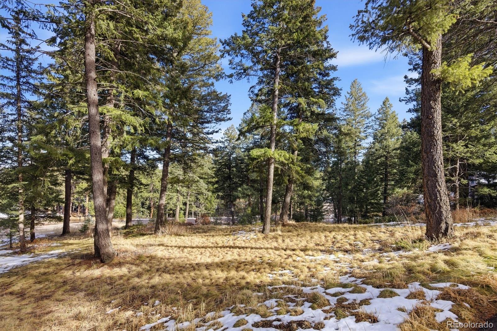 MLS Image #41 for 7837 s settlers drive,morrison, Colorado
