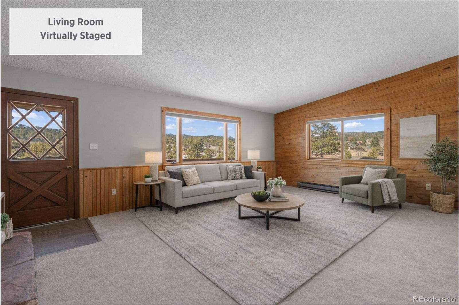 MLS Image #10 for 237  homestead road,bailey, Colorado