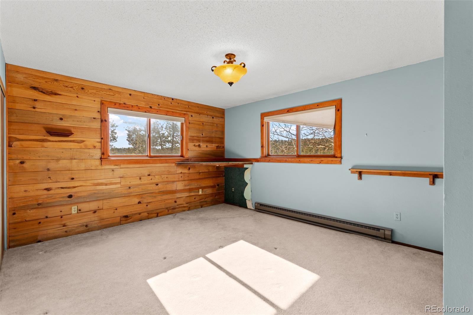 MLS Image #17 for 237  homestead road,bailey, Colorado