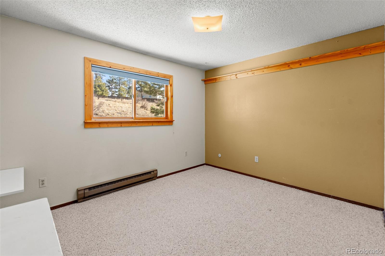 MLS Image #20 for 237  homestead road,bailey, Colorado