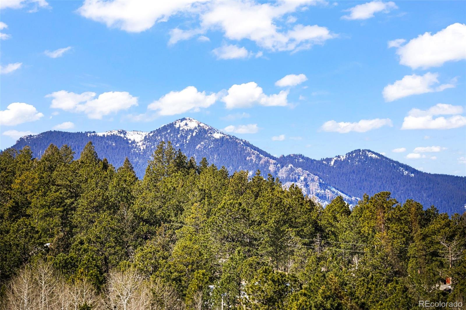 MLS Image #7 for 237  homestead road,bailey, Colorado