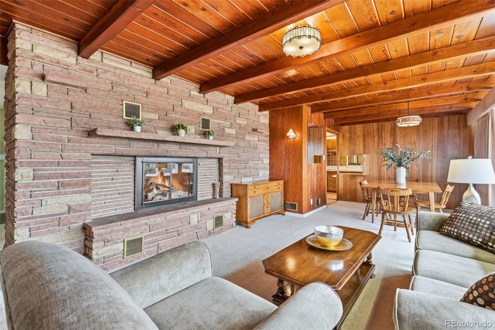 MLS Image #10 for 7474  broadview drive,denver, Colorado