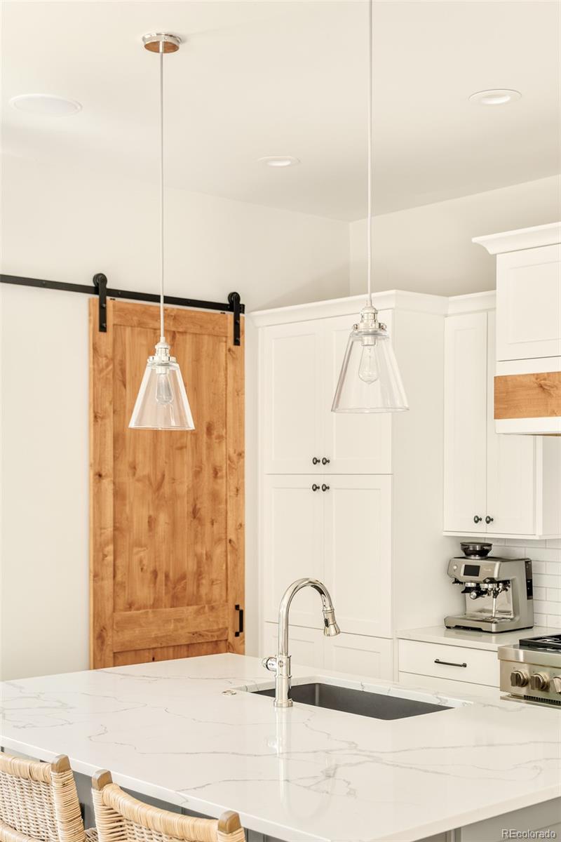 MLS Image #7 for 1123  monroe street,denver, Colorado