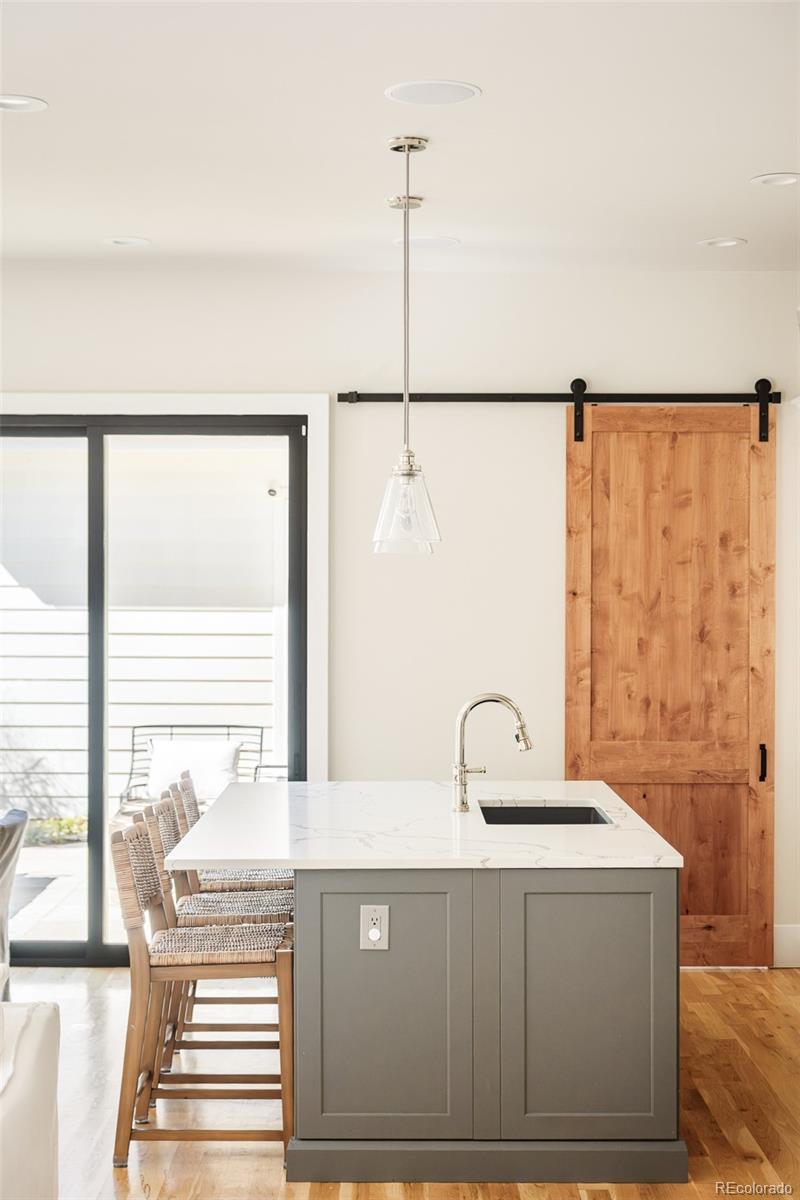MLS Image #9 for 1123  monroe street,denver, Colorado