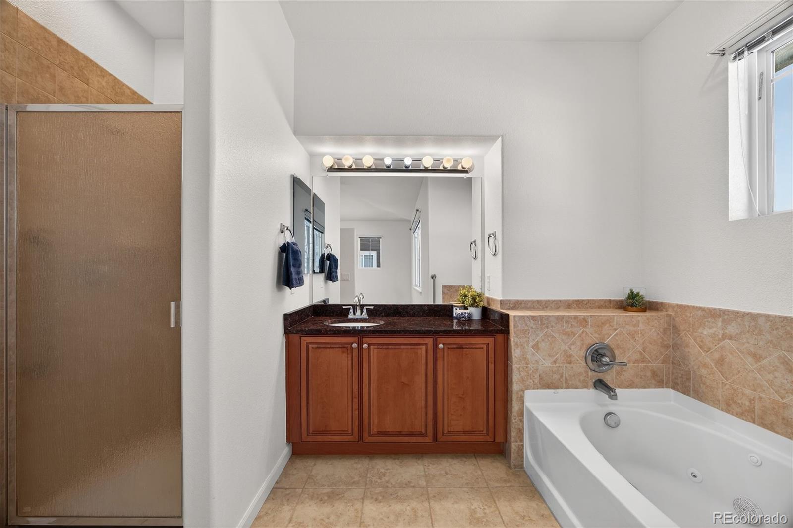 MLS Image #10 for 4405  millwagon trail,castle rock, Colorado