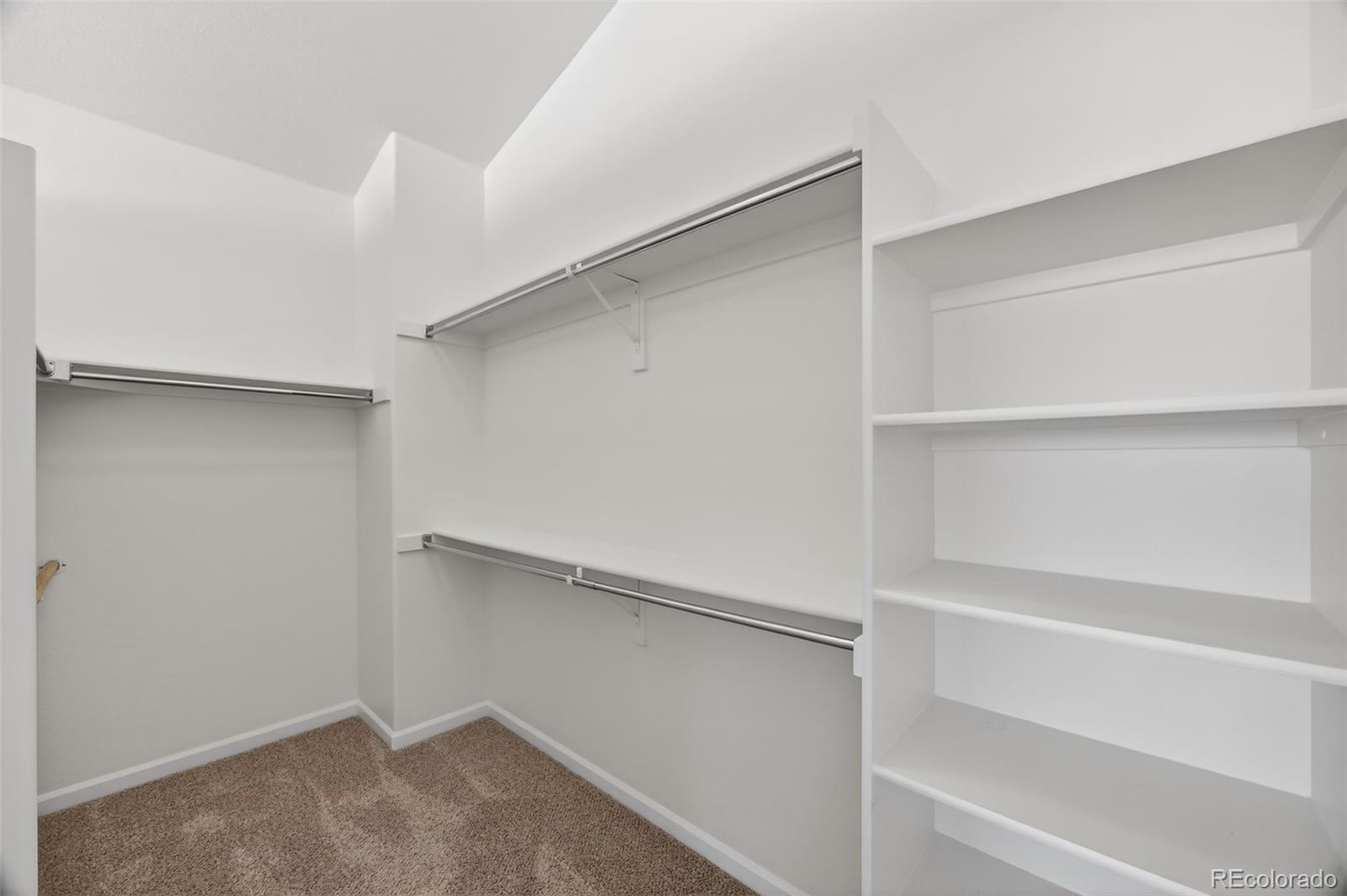 MLS Image #19 for 4405  millwagon trail,castle rock, Colorado