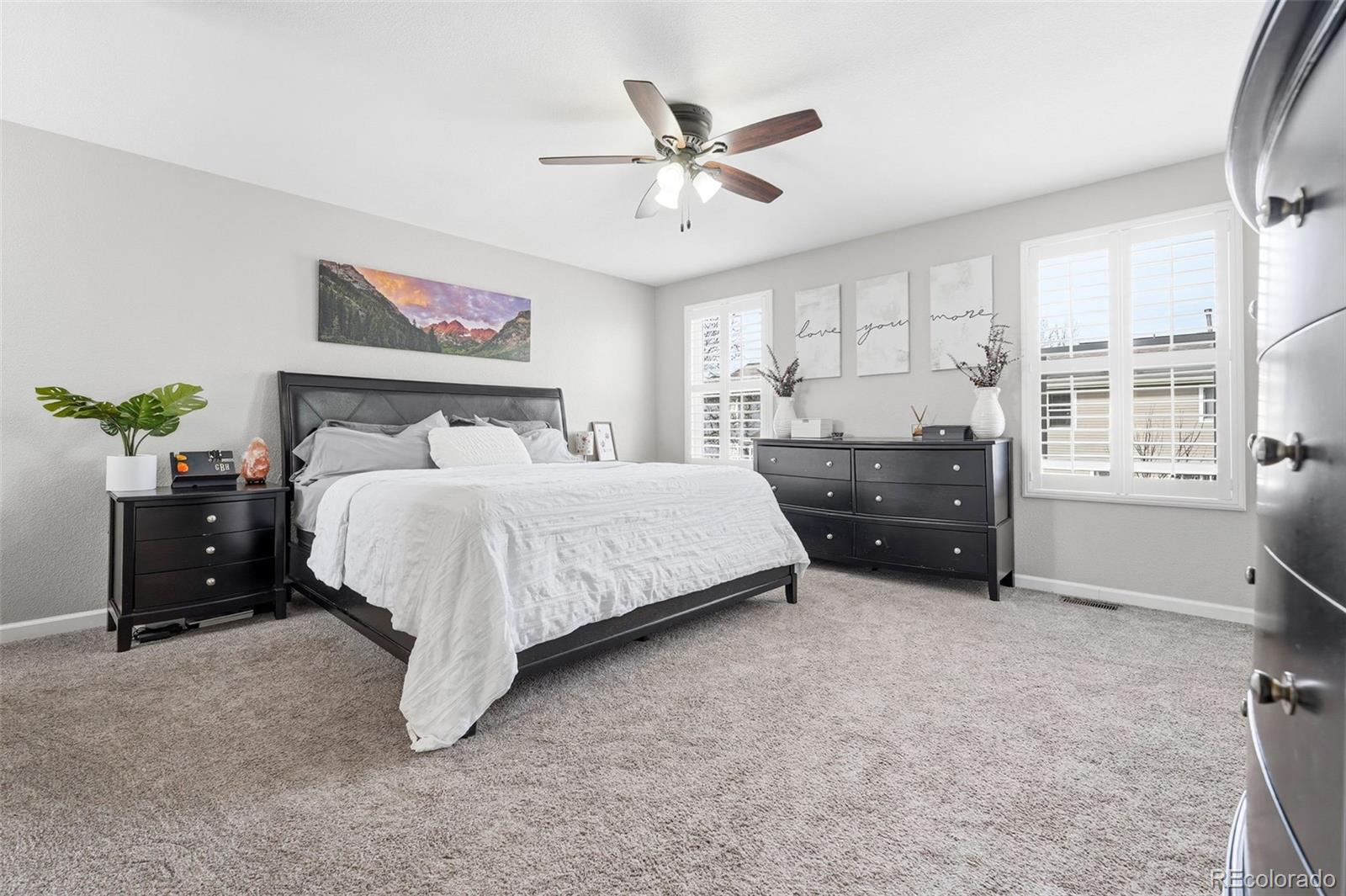 MLS Image #12 for 21983 e crestline lane ,aurora, Colorado