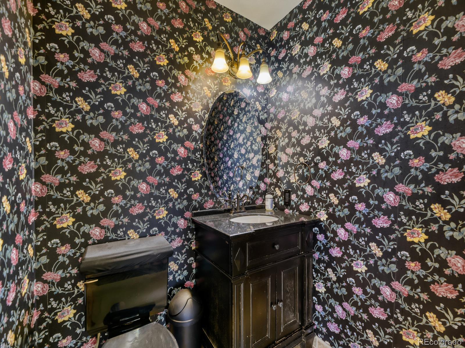 MLS Image #10 for 16213  quarry hill drive,parker, Colorado