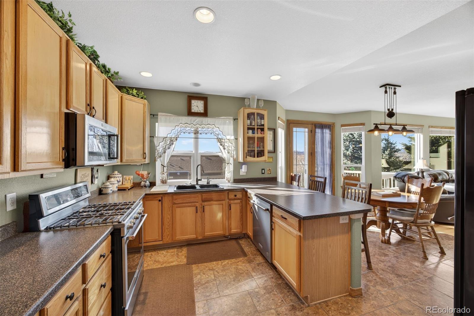MLS Image #10 for 1200  silver dollar court,castle rock, Colorado