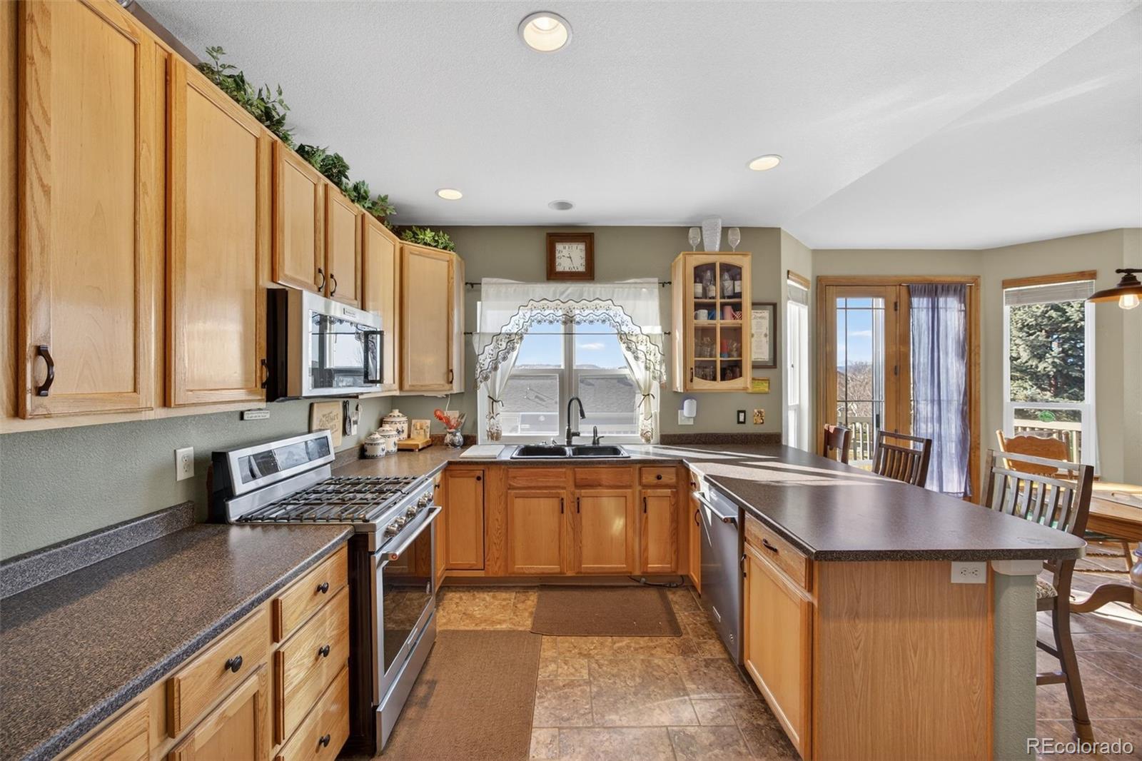 MLS Image #11 for 1200  silver dollar court,castle rock, Colorado