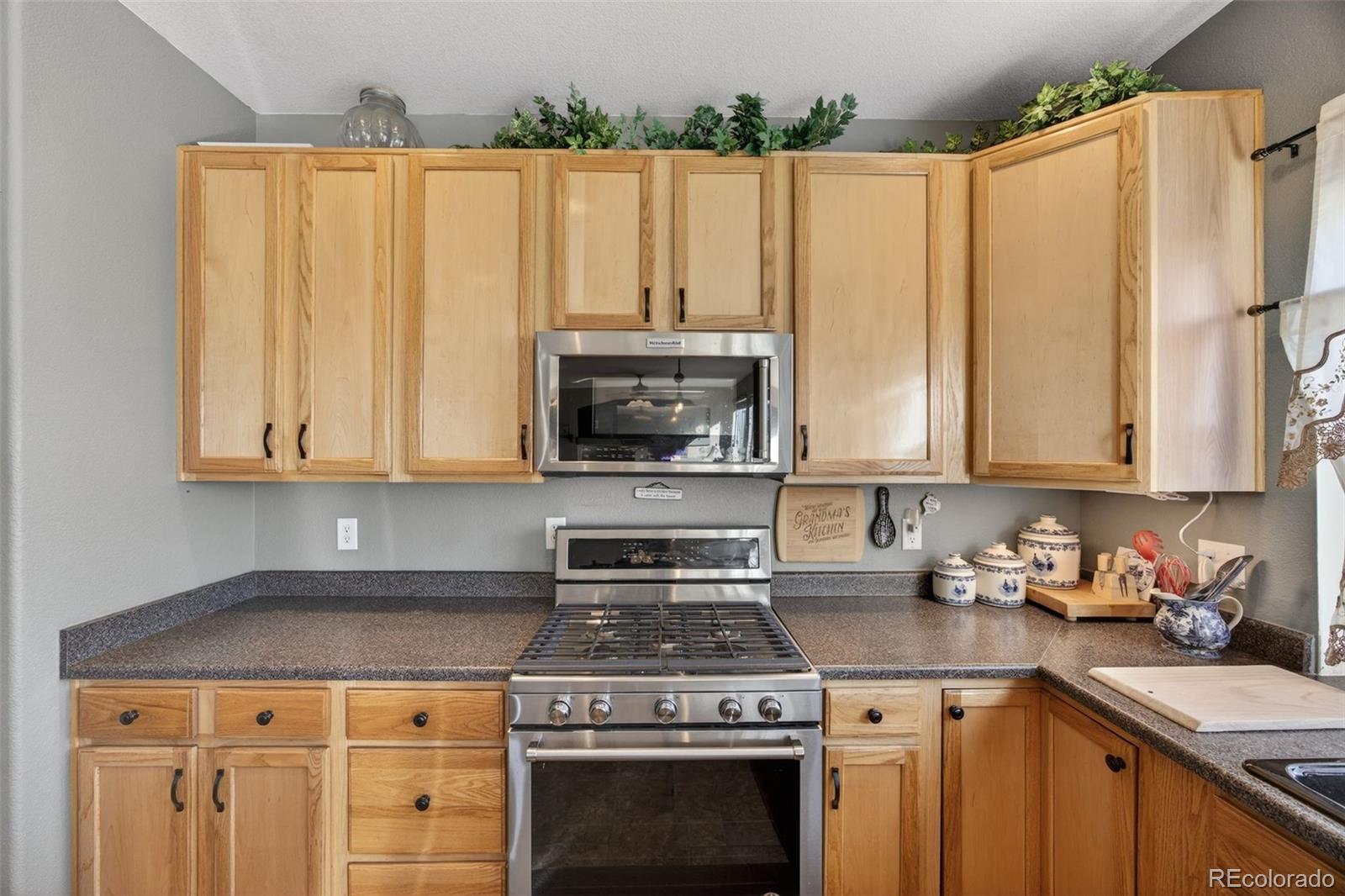 MLS Image #12 for 1200  silver dollar court,castle rock, Colorado