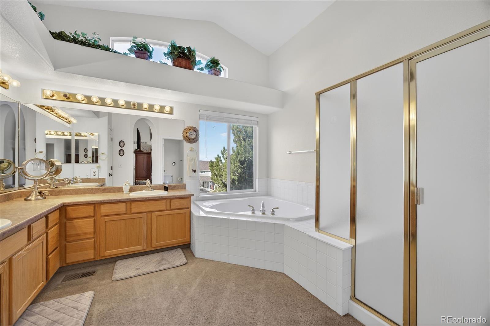 MLS Image #18 for 1200  silver dollar court,castle rock, Colorado
