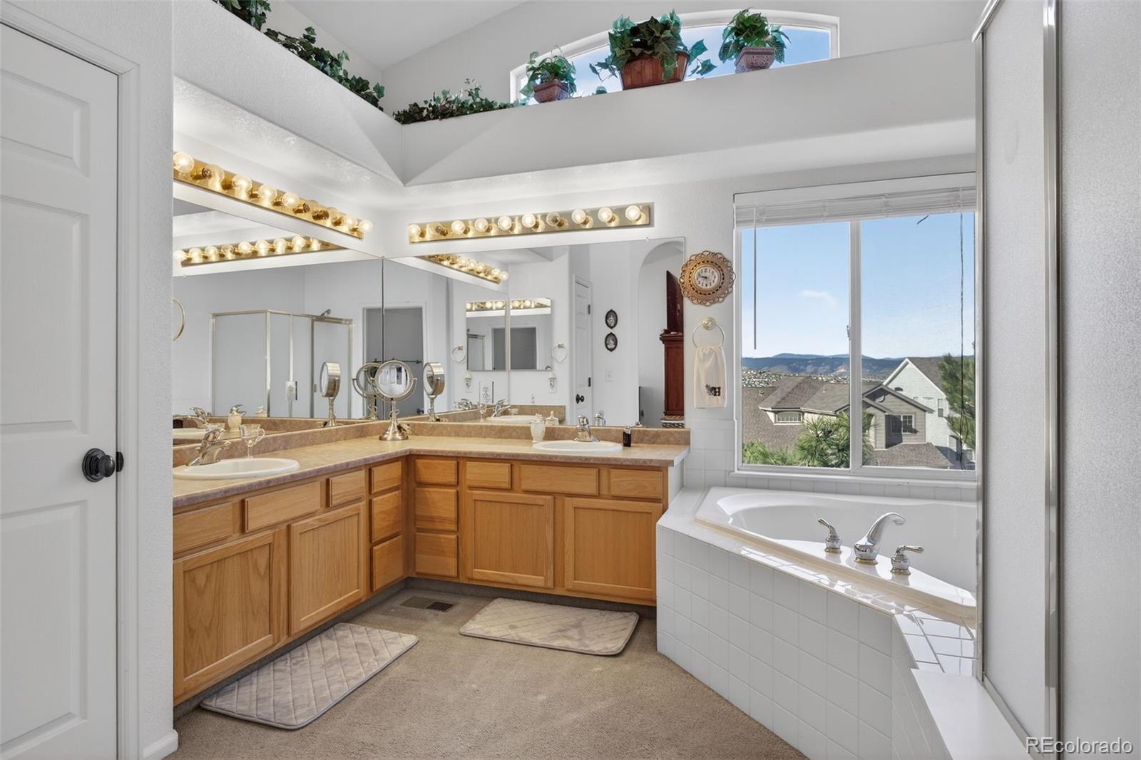 MLS Image #19 for 1200  silver dollar court,castle rock, Colorado