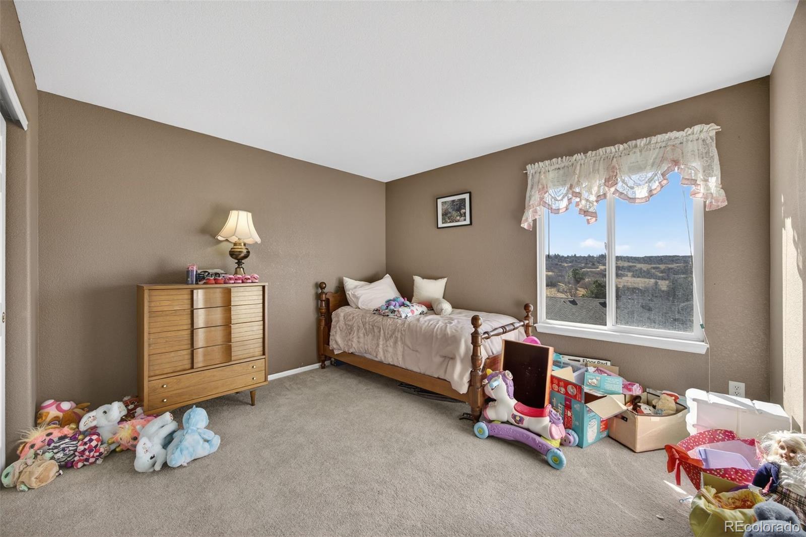 MLS Image #20 for 1200  silver dollar court,castle rock, Colorado