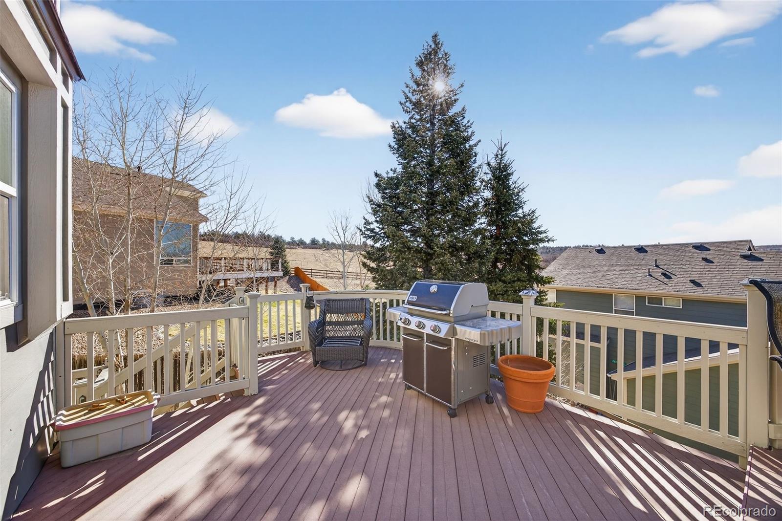 MLS Image #23 for 1200  silver dollar court,castle rock, Colorado