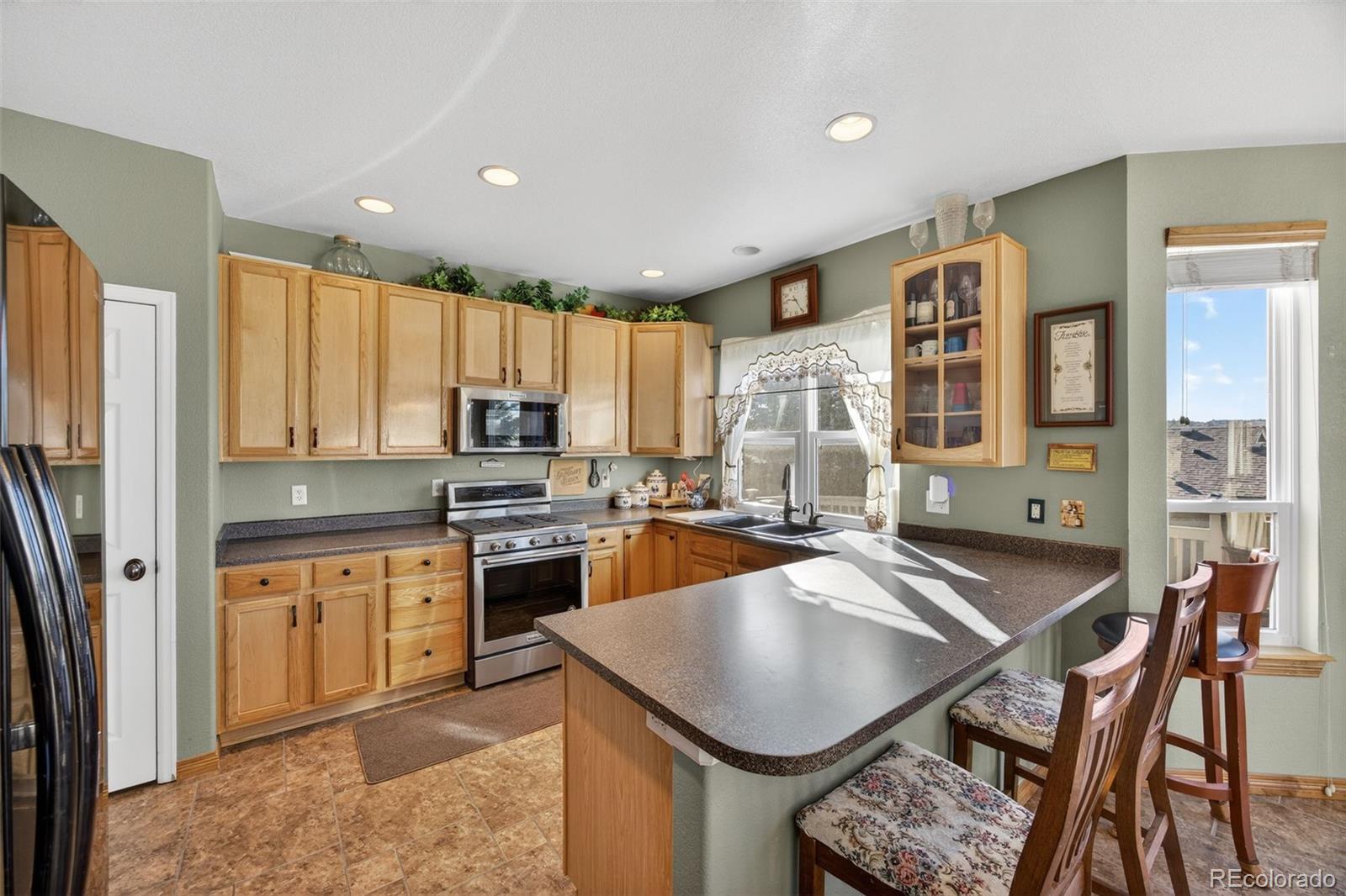 MLS Image #9 for 1200  silver dollar court,castle rock, Colorado