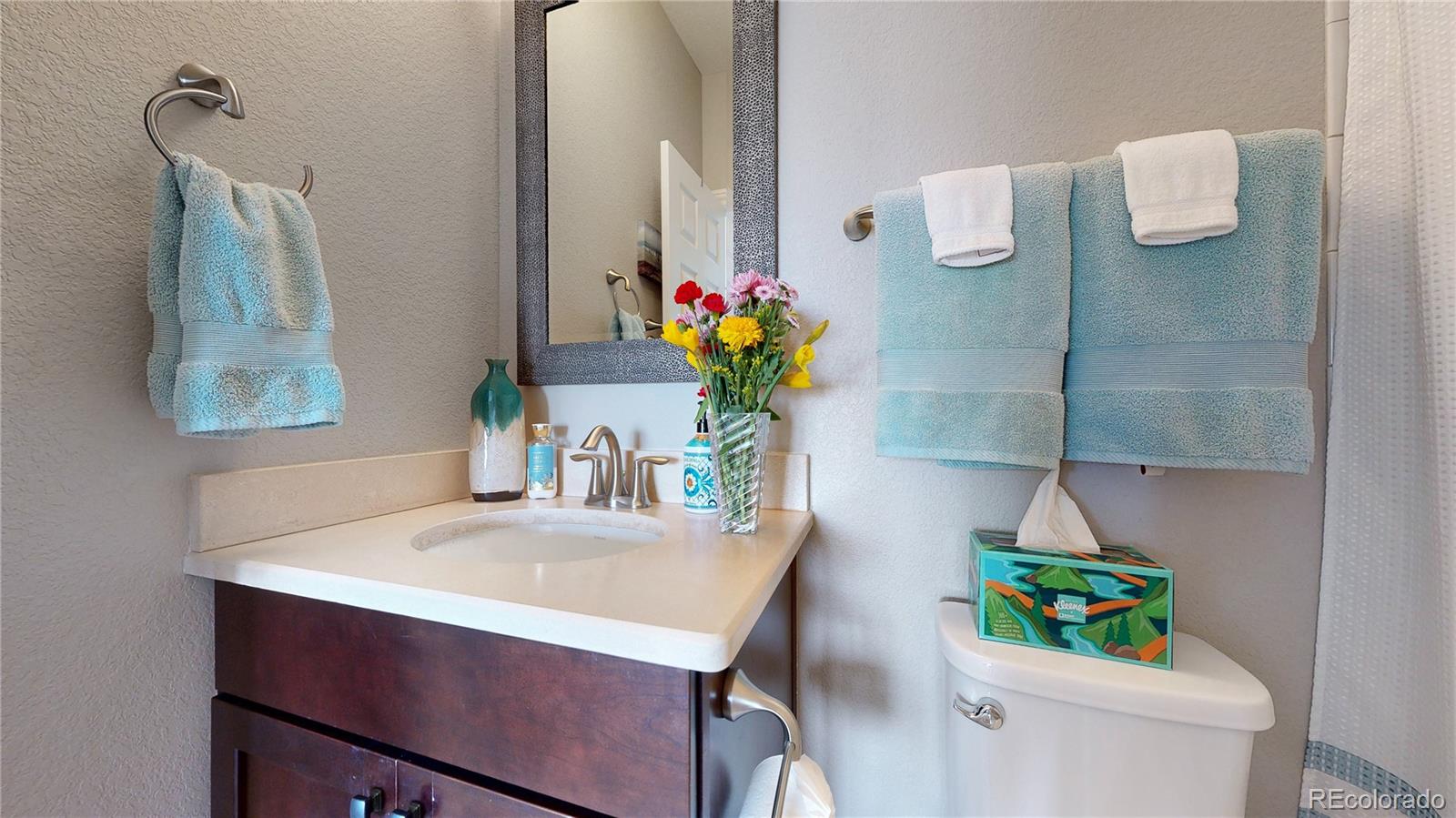 MLS Image #13 for 12346  sandstone court,broomfield, Colorado