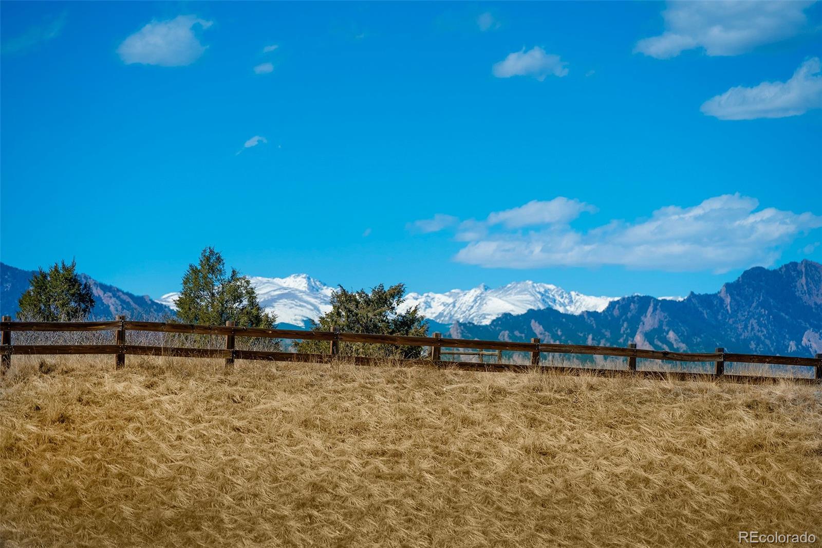 MLS Image #14 for 10351  routt street,broomfield, Colorado