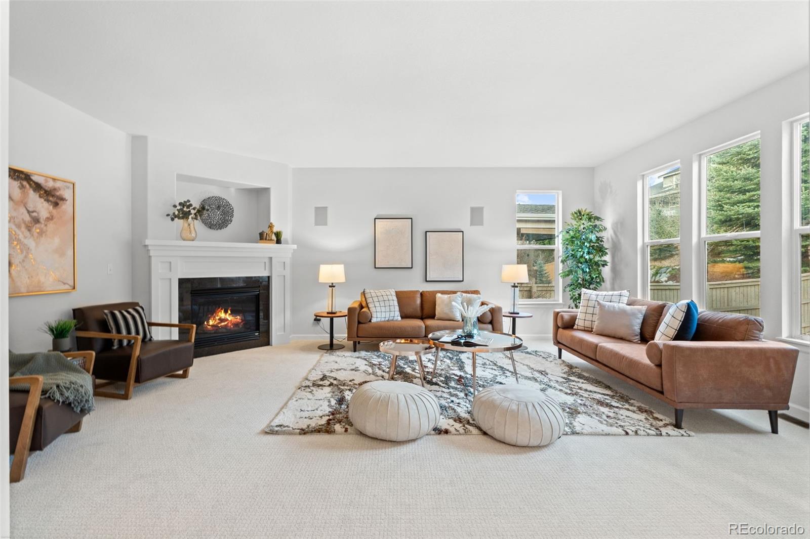 MLS Image #1 for 10683  amesbury way,highlands ranch, Colorado
