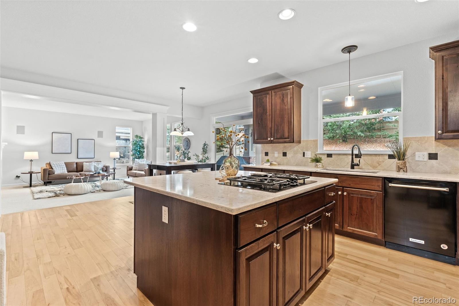 MLS Image #14 for 10683  amesbury way,highlands ranch, Colorado