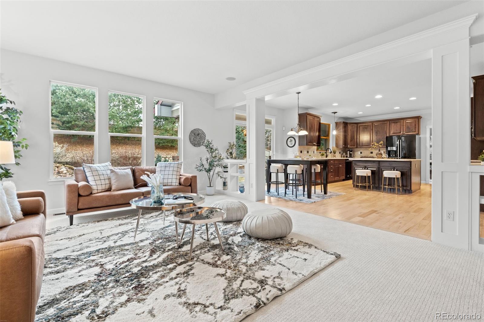 MLS Image #17 for 10683  amesbury way,highlands ranch, Colorado
