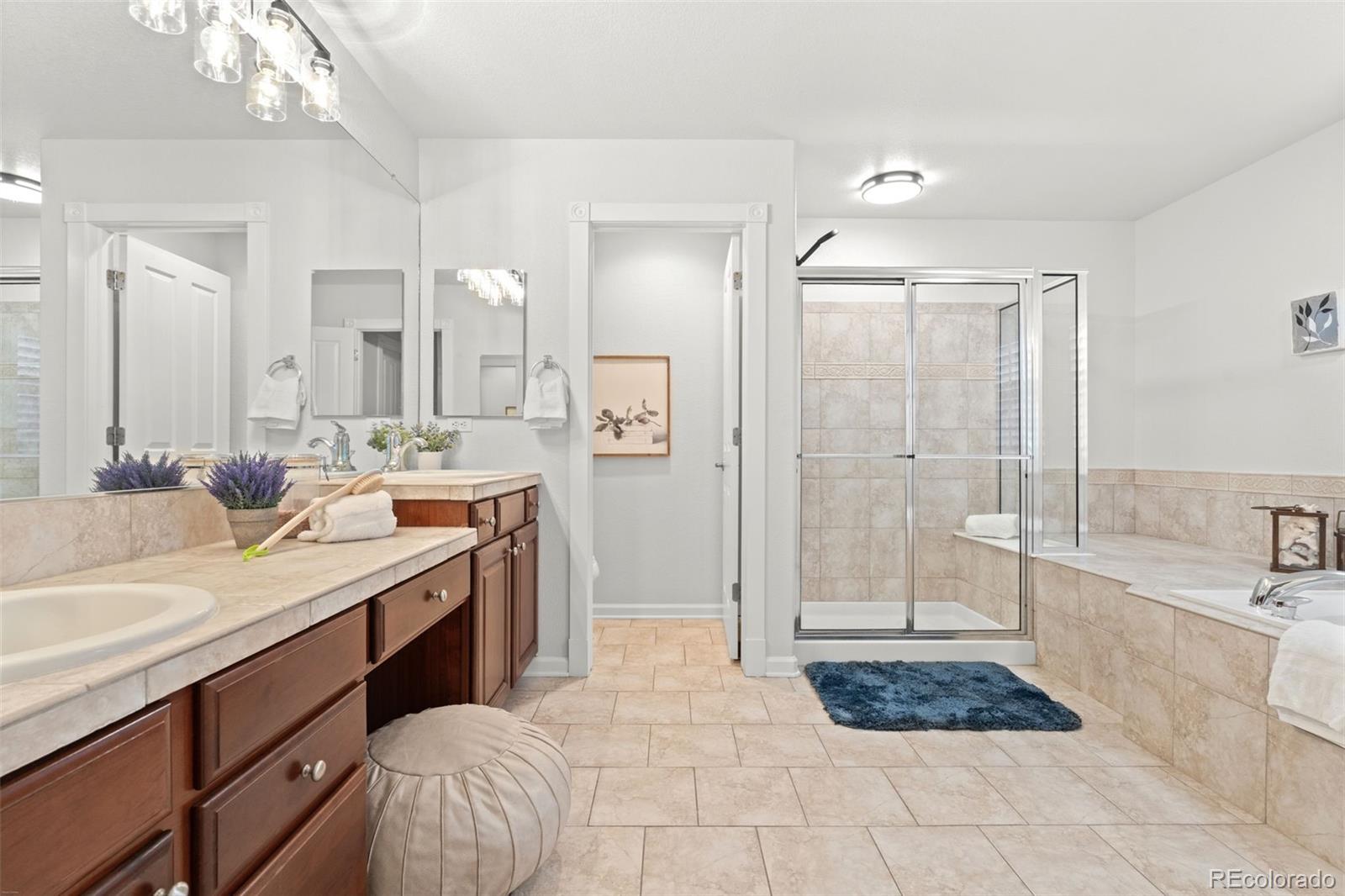 MLS Image #25 for 10683  amesbury way,highlands ranch, Colorado