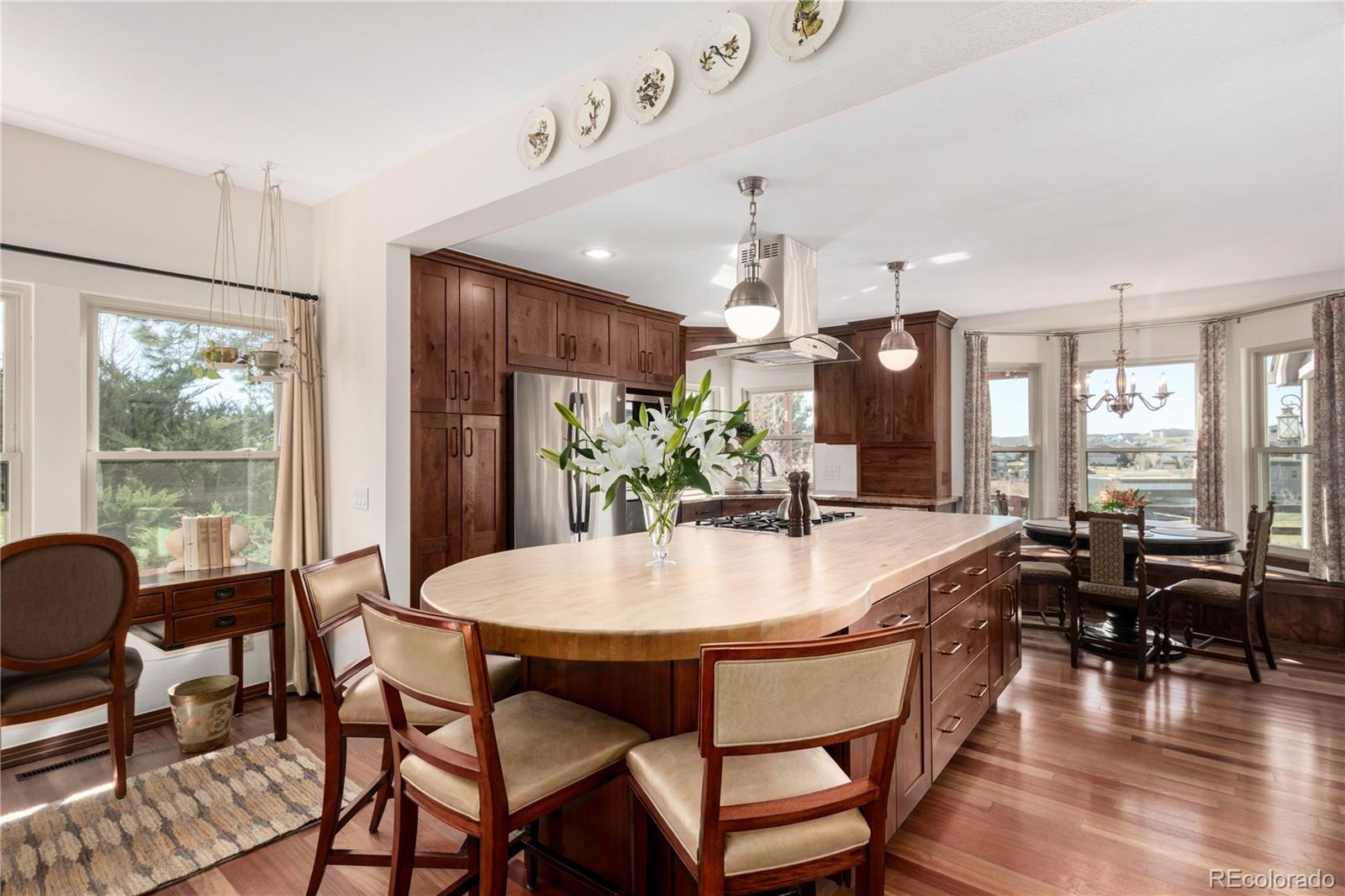 MLS Image #9 for 102  dorset court,castle pines, Colorado