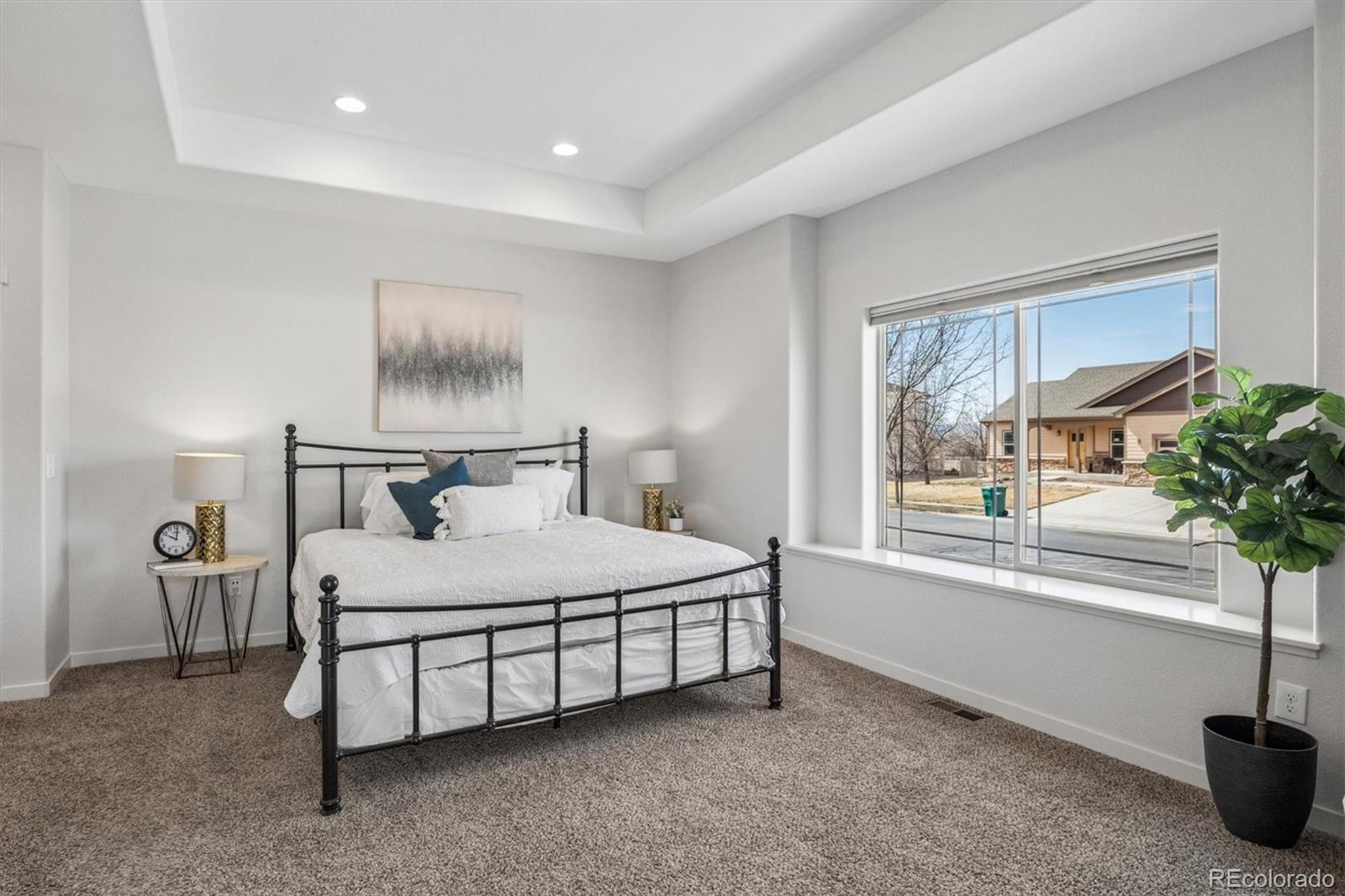 MLS Image #13 for 3674  watts street,timnath, Colorado