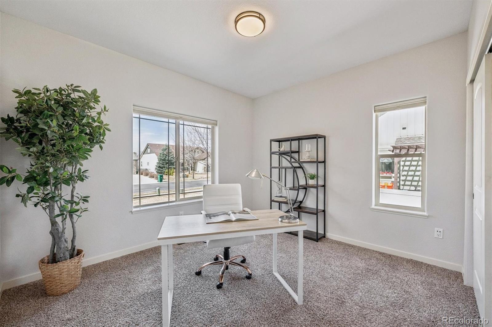 MLS Image #18 for 3674  watts street,timnath, Colorado