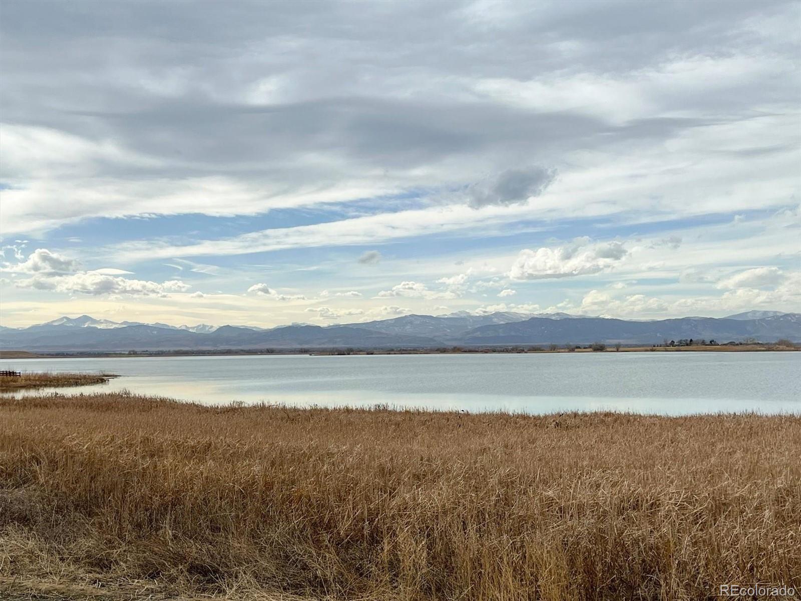 MLS Image #36 for 3674  watts street,timnath, Colorado
