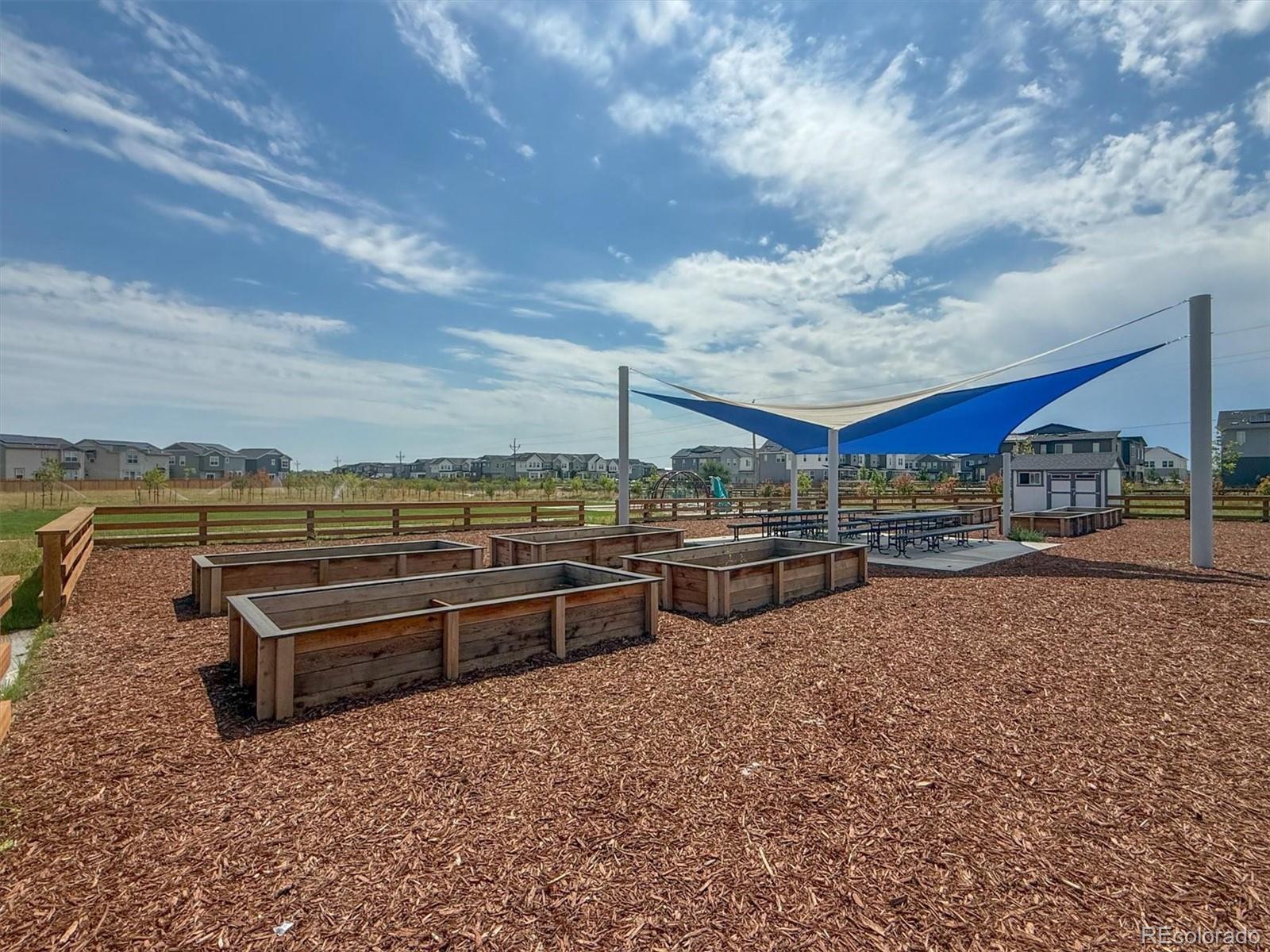 MLS Image #43 for 3674  watts street,timnath, Colorado