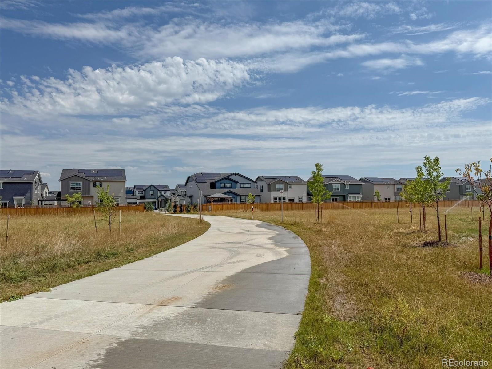 MLS Image #46 for 3674  watts street,timnath, Colorado