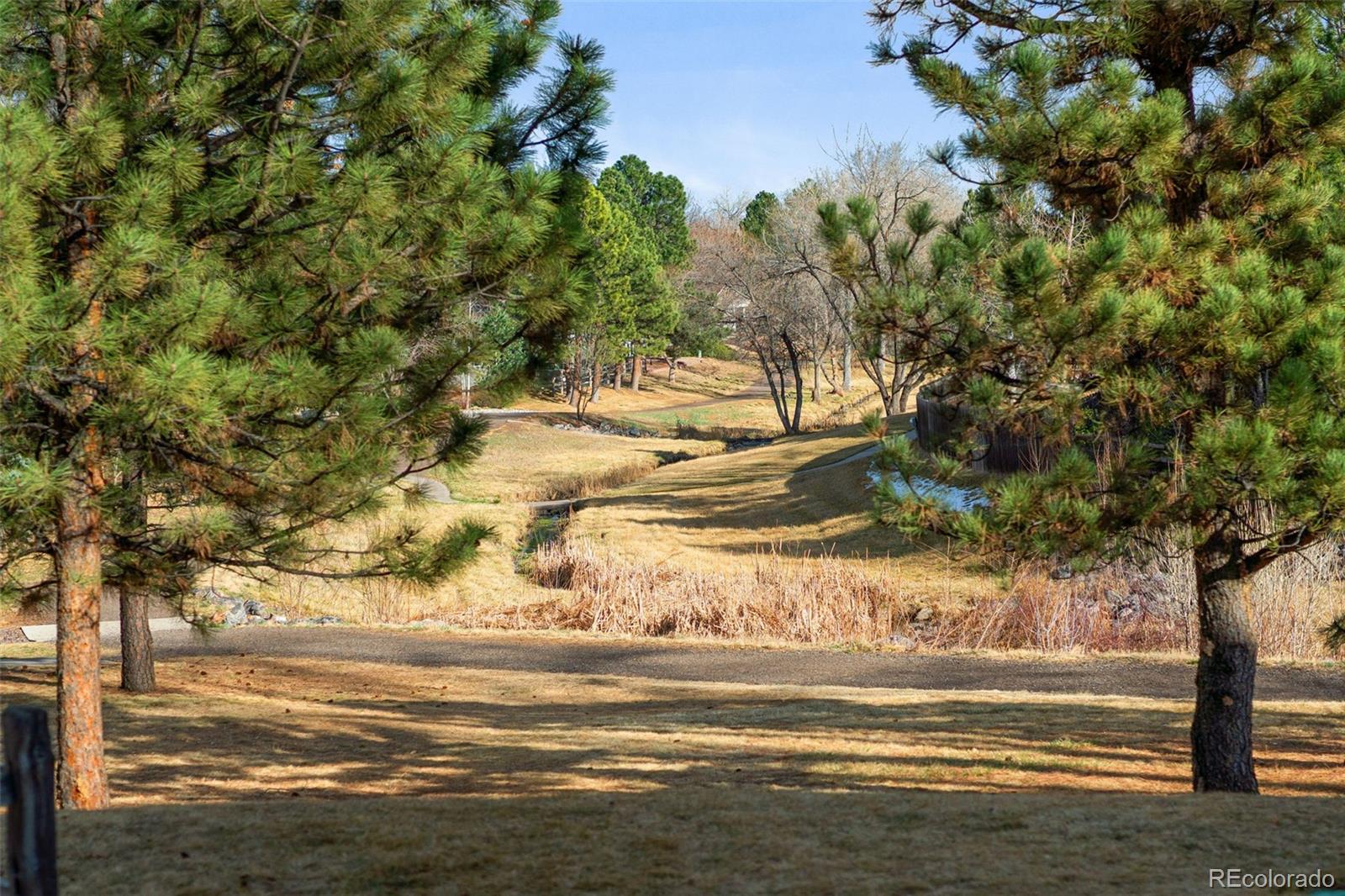 MLS Image #44 for 5260 s jellison street,littleton, Colorado