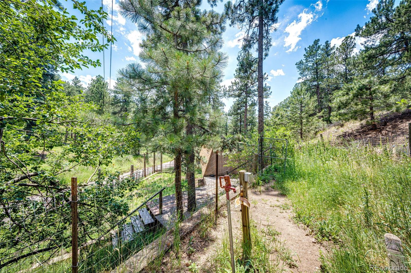 MLS Image #27 for 9079 s murphy gulch road,littleton, Colorado