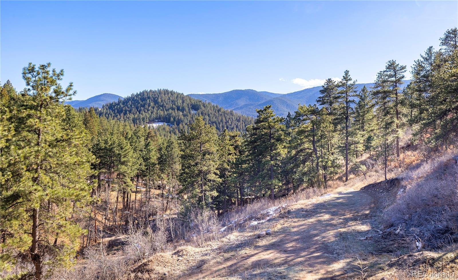 MLS Image #3 for 9079 s murphy gulch road,littleton, Colorado