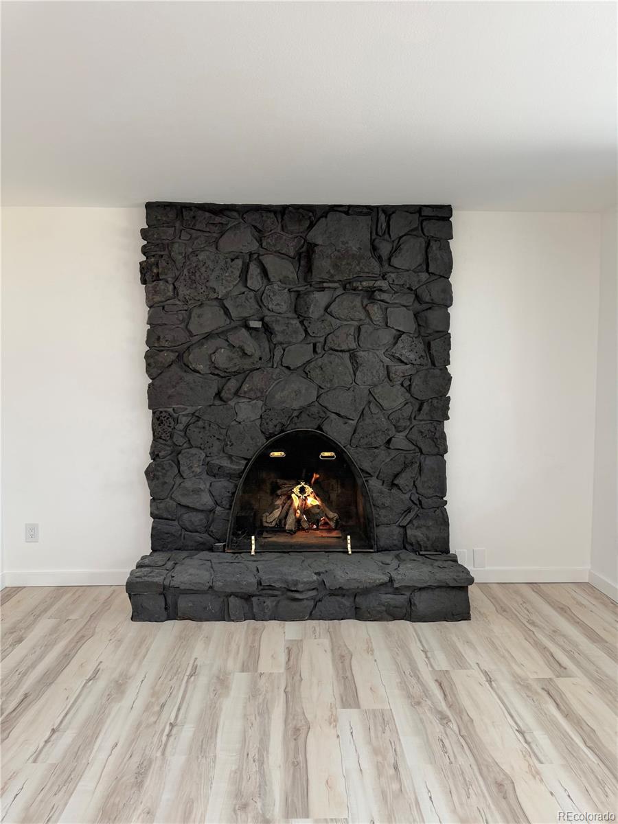 MLS Image #13 for 7049  van gordon court,arvada, Colorado