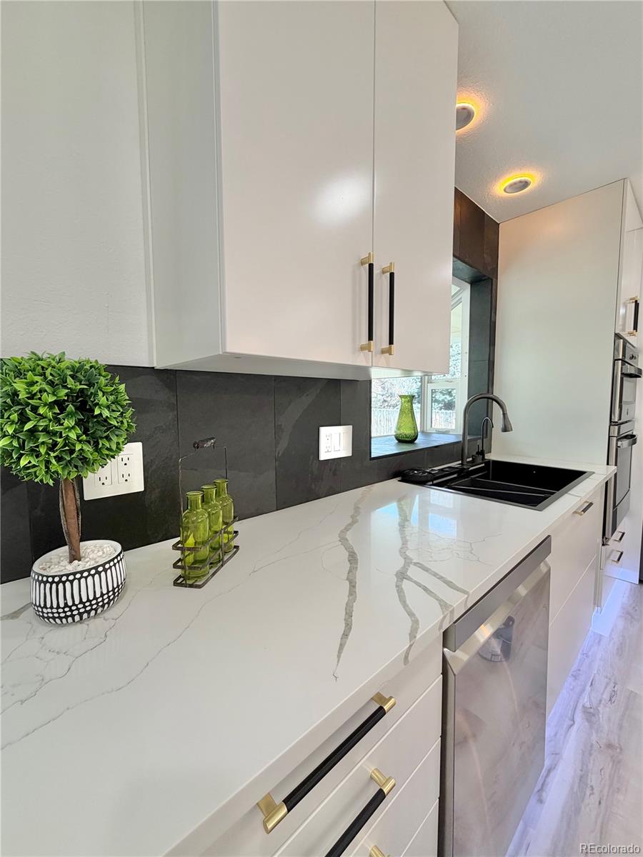 MLS Image #5 for 7049  van gordon court,arvada, Colorado