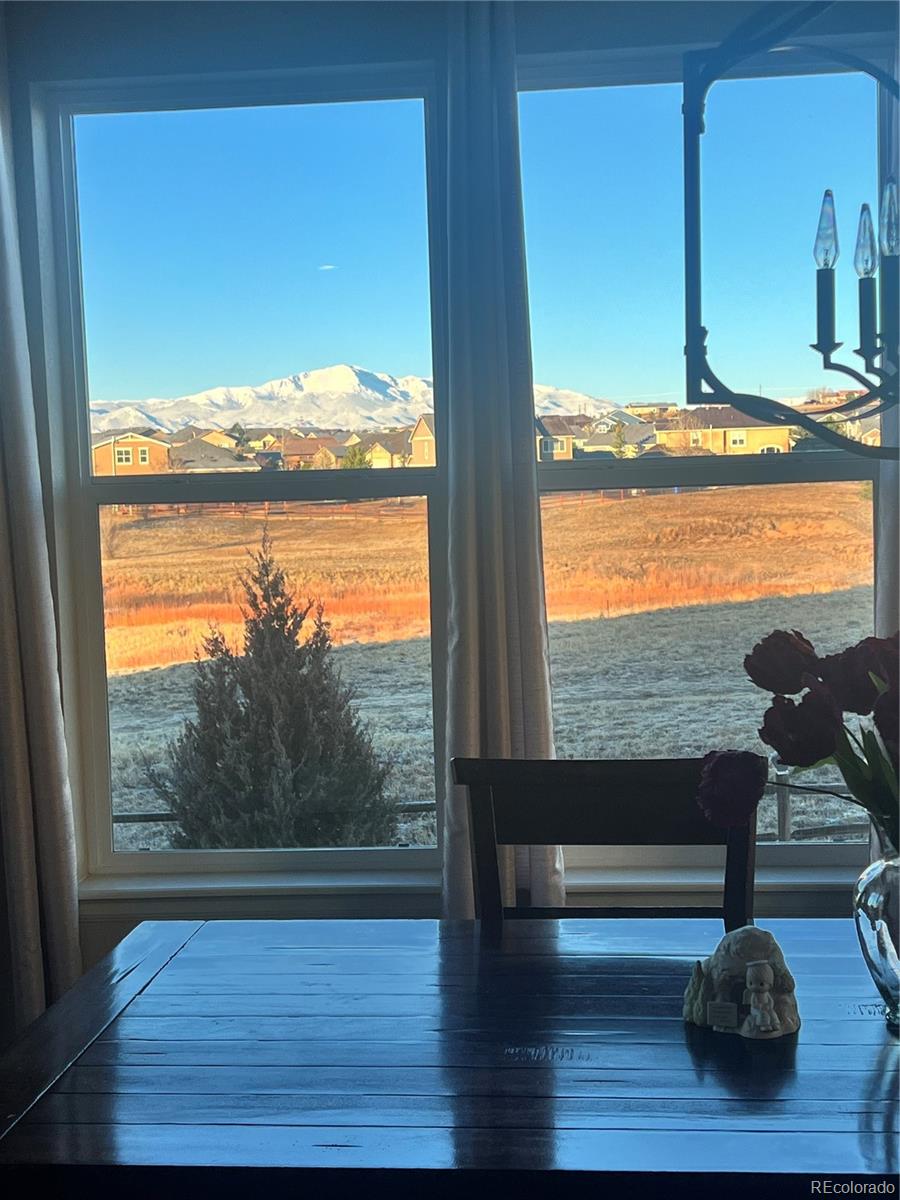 MLS Image #2 for 10952  torreys peak way,peyton, Colorado