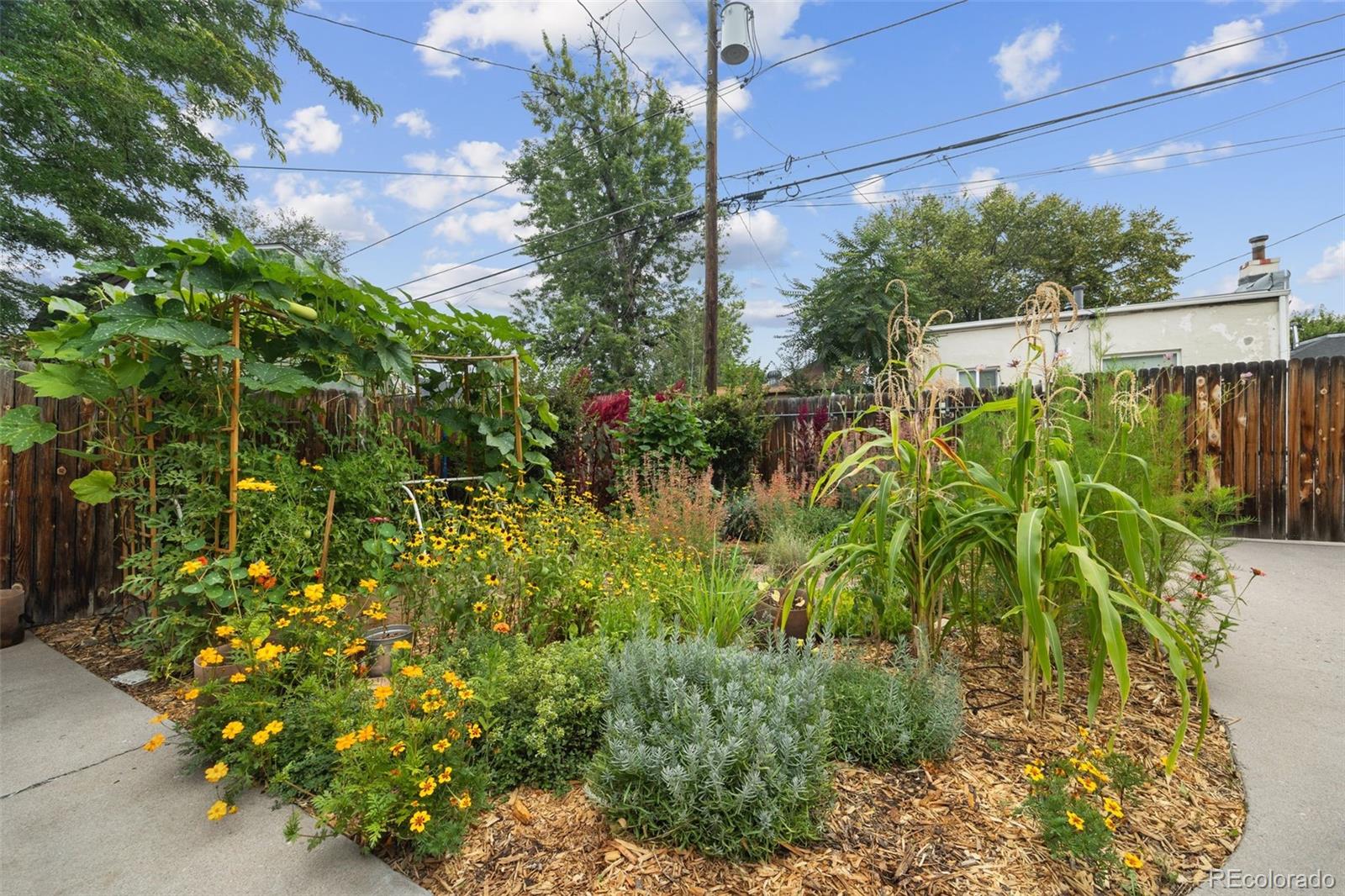 MLS Image #41 for 3020 n york street,denver, Colorado