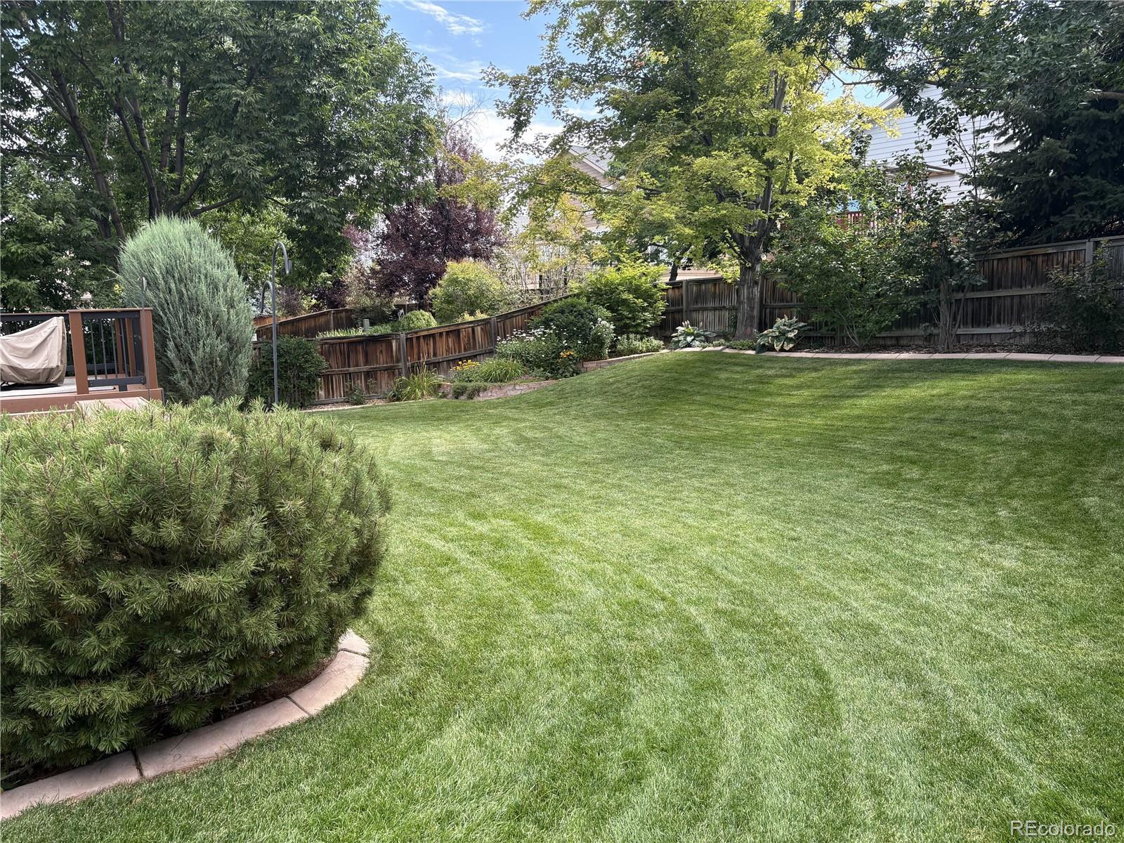 MLS Image #49 for 1151 w english sparrow trail,highlands ranch, Colorado