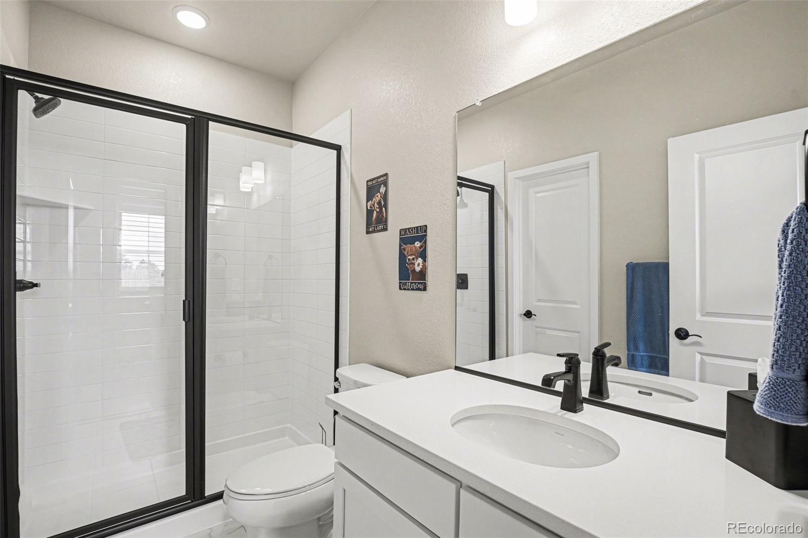 MLS Image #13 for 12732  cove street,firestone, Colorado