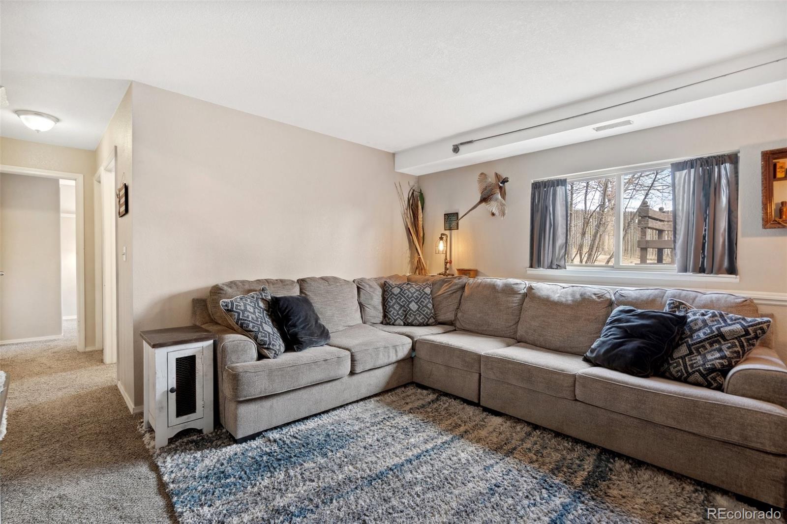 MLS Image #18 for 4260  vicksburg terrace,colorado springs, Colorado