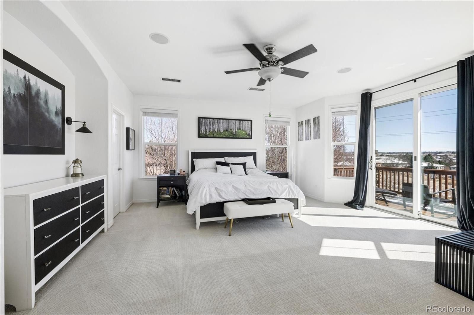 MLS Image #18 for 9073  hunters way,highlands ranch, Colorado