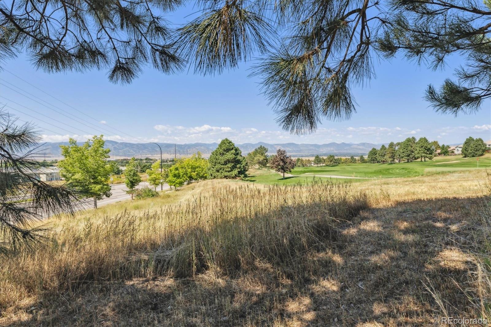 MLS Image #48 for 9073  hunters way,highlands ranch, Colorado