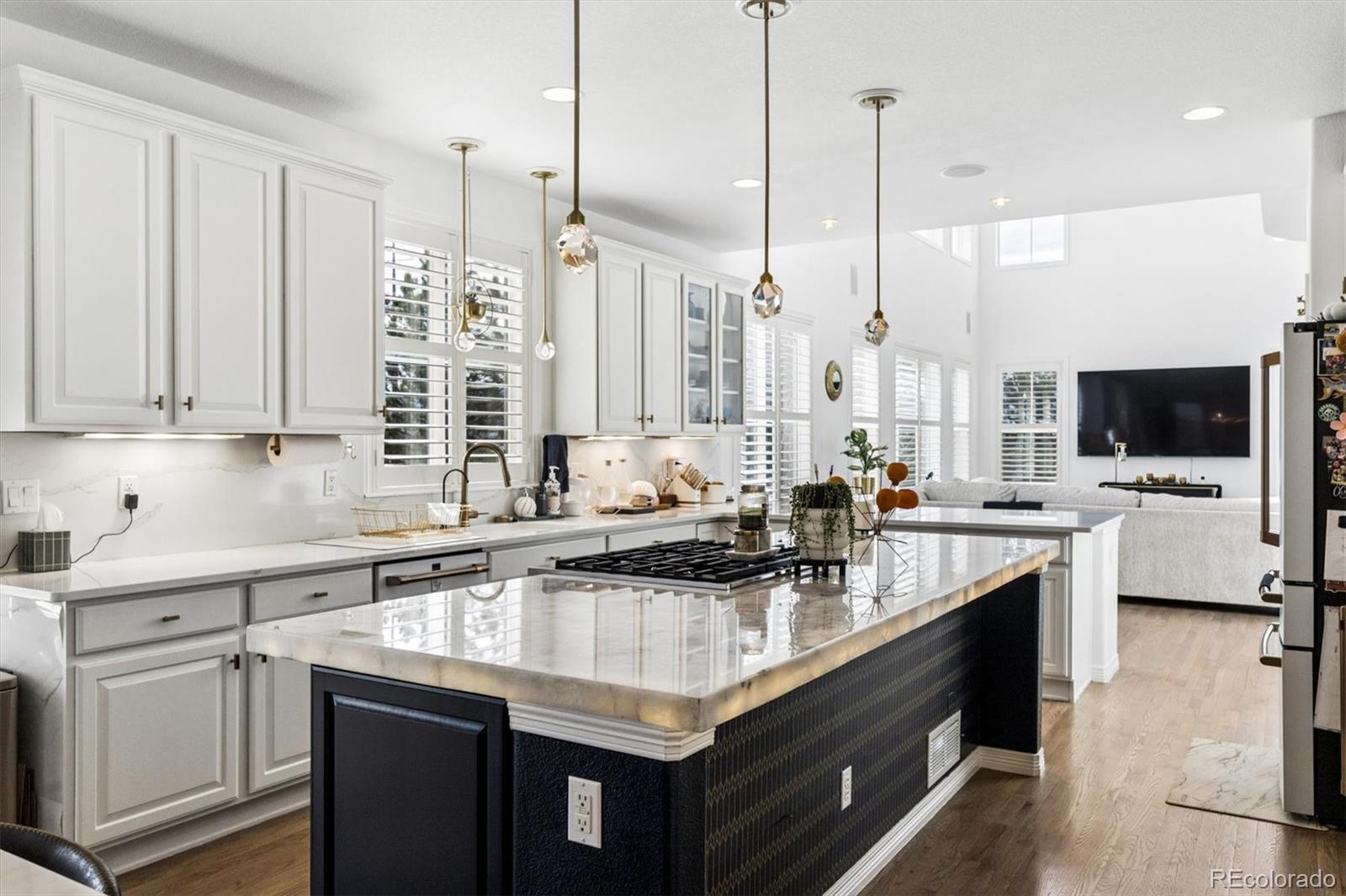 MLS Image #9 for 9073  hunters way,highlands ranch, Colorado
