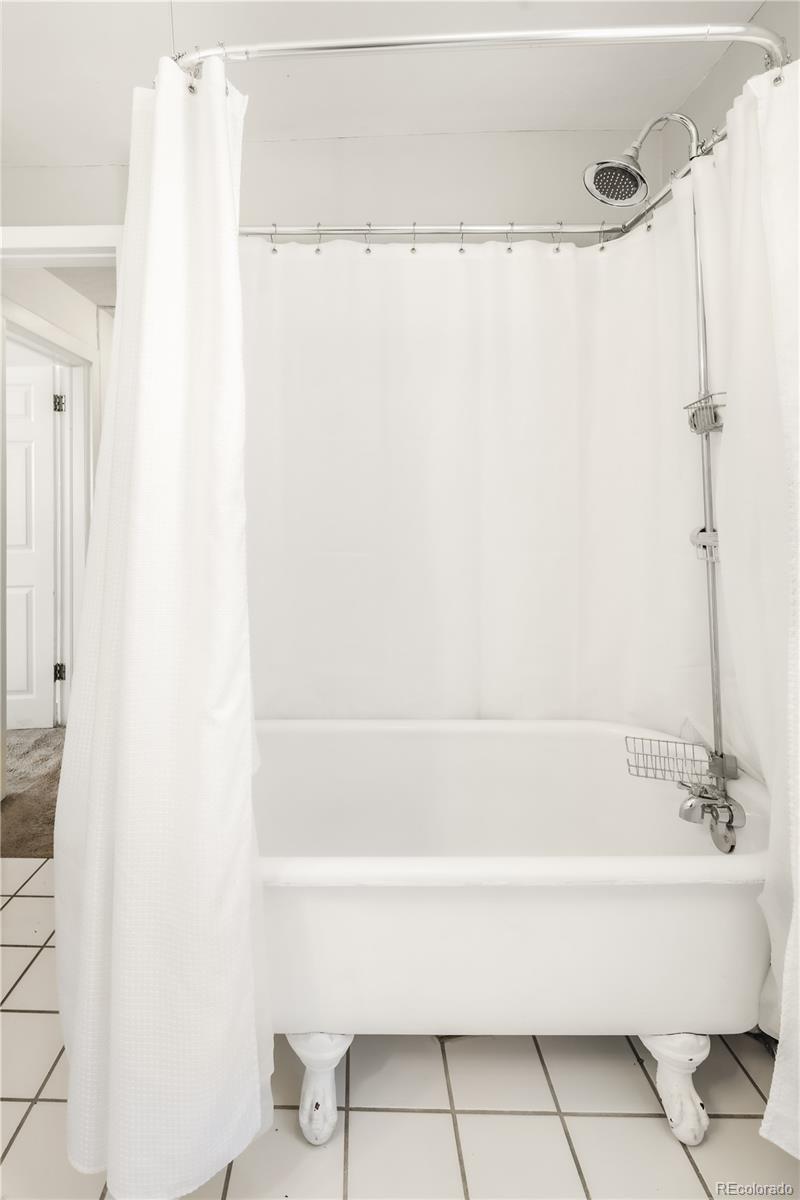 MLS Image #23 for 224 n sherman street,denver, Colorado