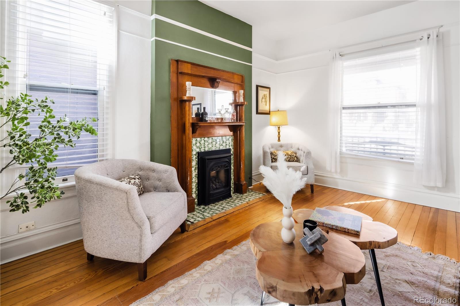MLS Image #4 for 224 n sherman street,denver, Colorado
